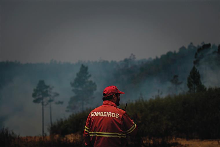 Mangualde. Cerca de 200 operacionais fazem frente a fogo próximo de povoação