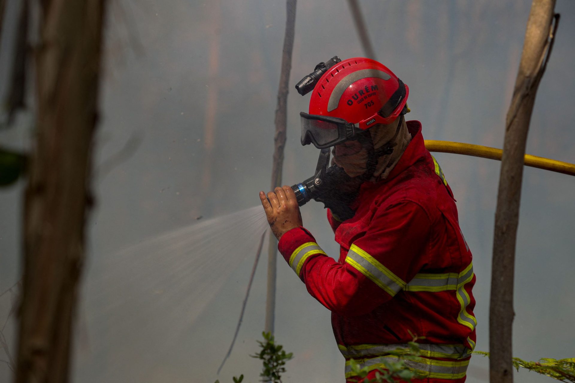 Palmela. GNR deteve suspeito de incêndio florestal em Pinhal Novo