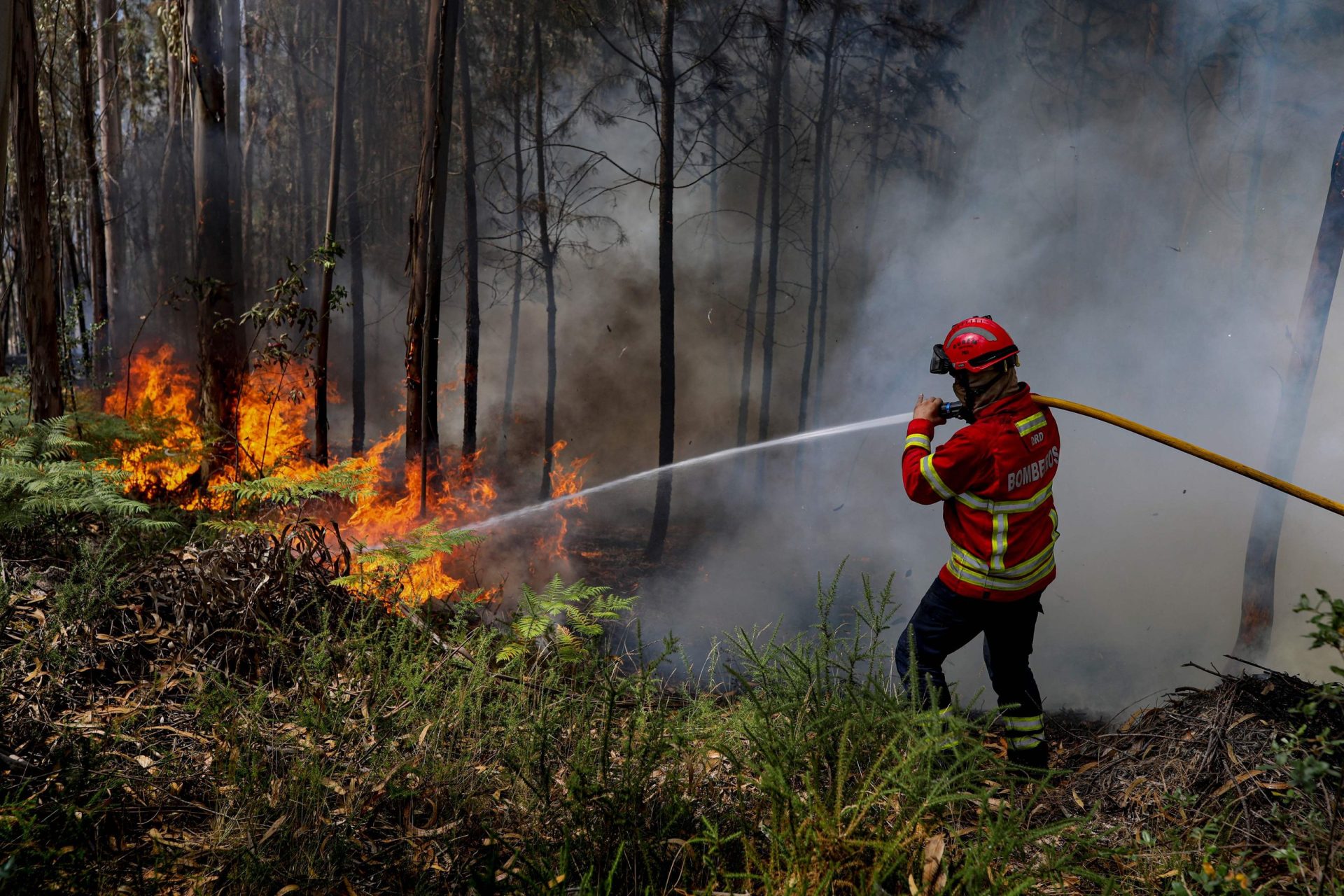 Incêndio em Vale da Pia em fase de resolução