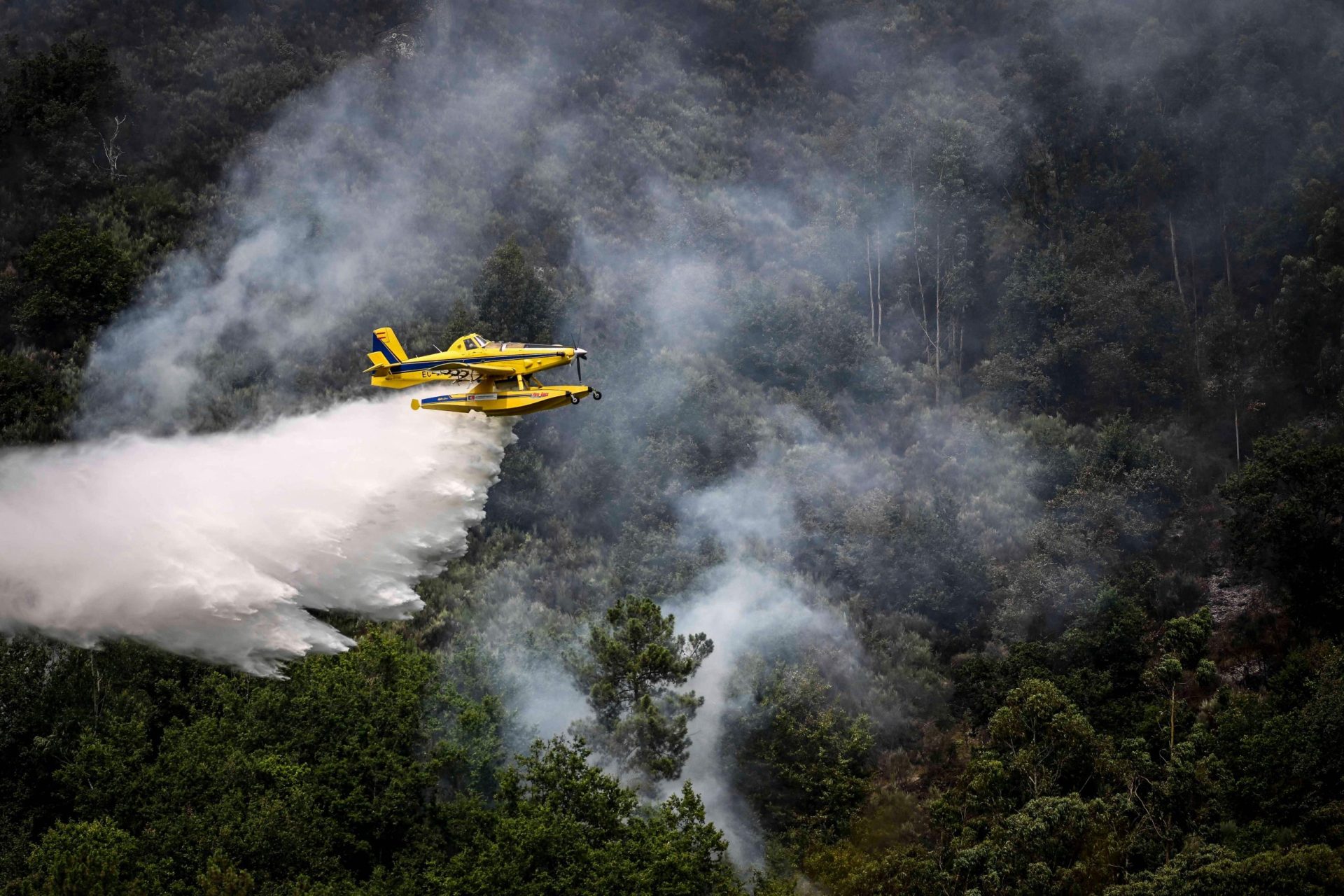 Incêndios. Fogo em Pinhel reativou ao início da tarde