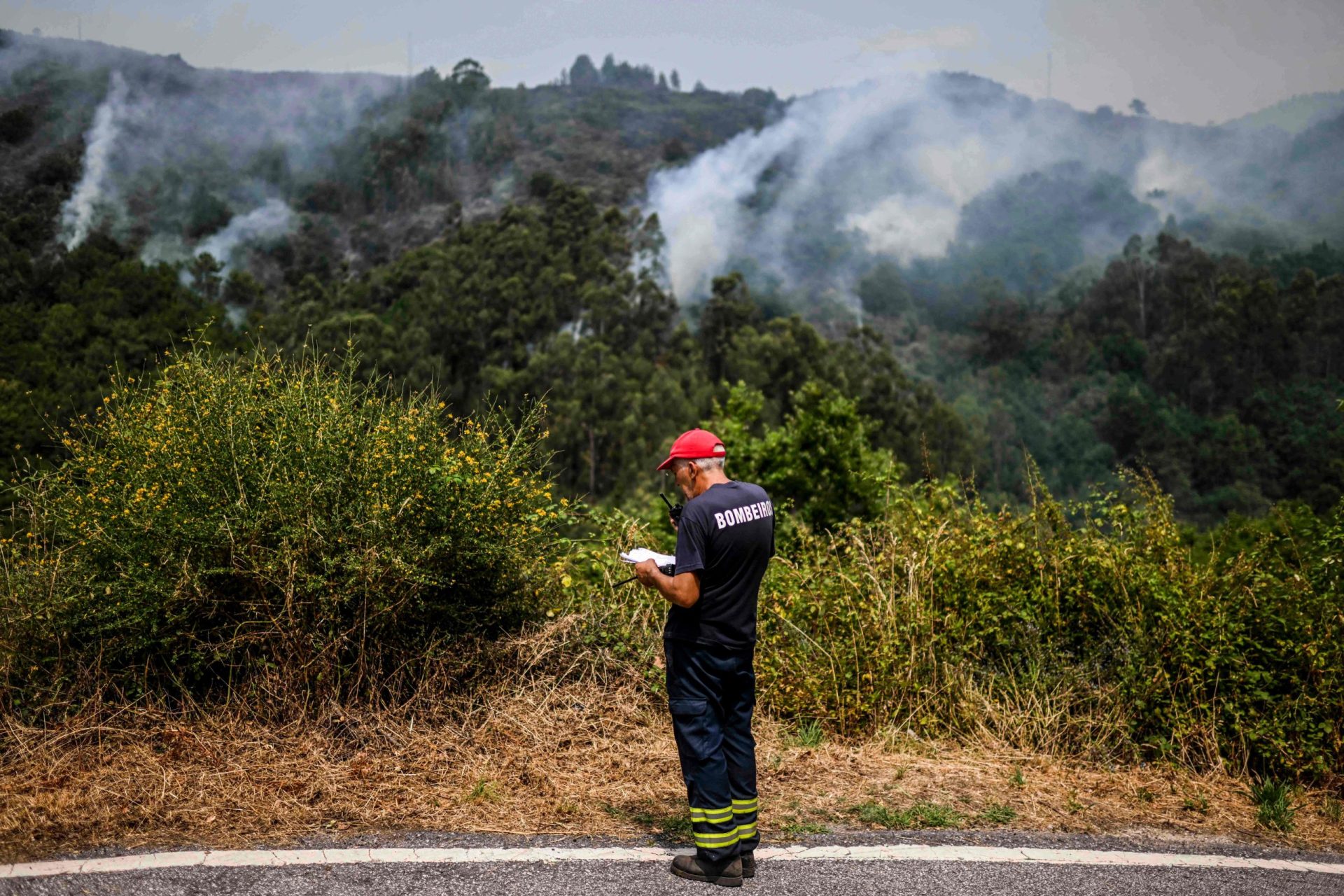 Mais de mil hectares terão sido consumidos pelas chamas em Vila Pouca de Aguiar