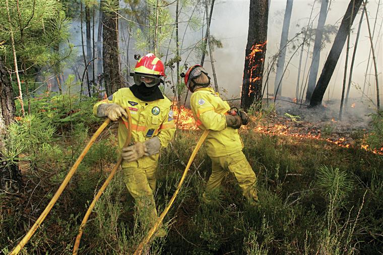 Alvaiázere. Incêndio deixou rasto de destruição