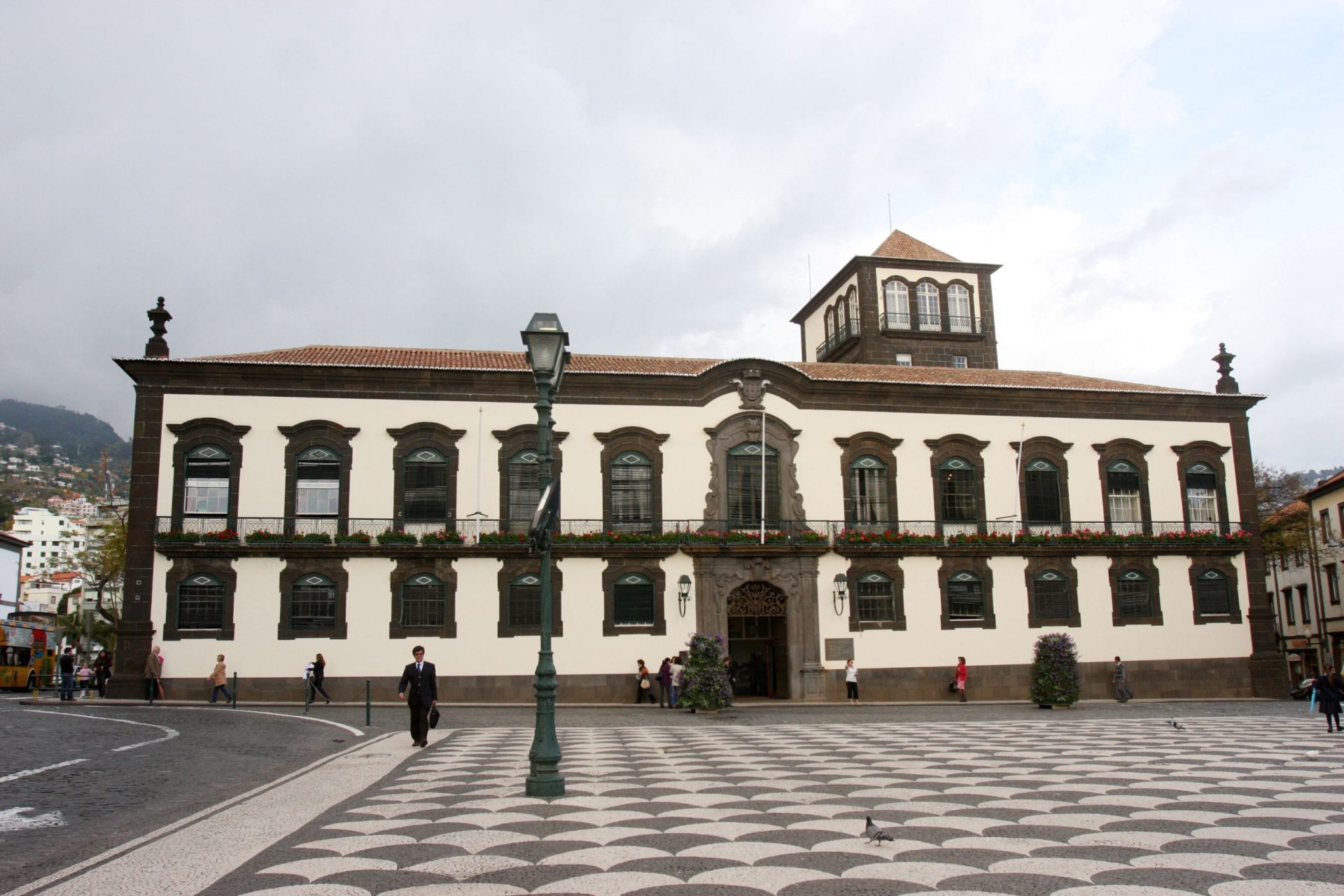 Funchal. Pombos aparecem mortos em vários pontos da cidade. Autarquia está a investigar