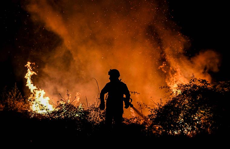 Incêndios. PJ detém dois bombeiros de Caneças por suspeita de atearem fogos