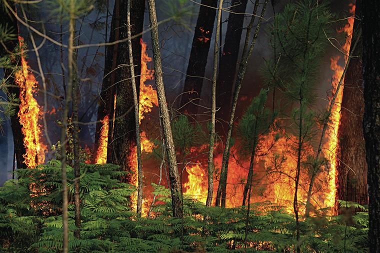 Vila Pouca de Aguiar. Incêndio reativou-se durante a madrugada