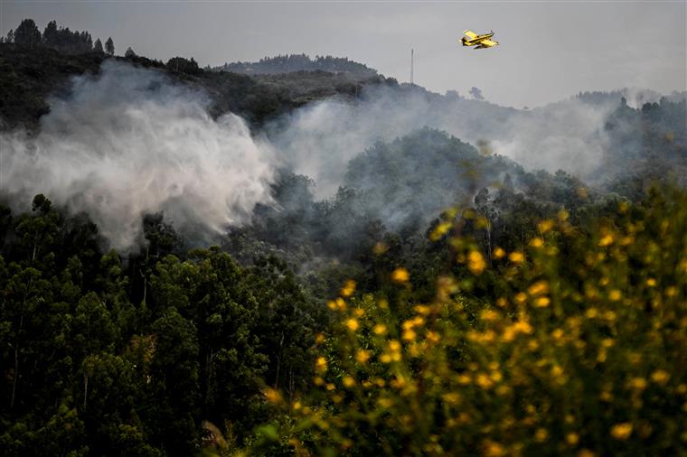 Coimbra. Mais de 200 bombeiros combatem incêndio em Góis