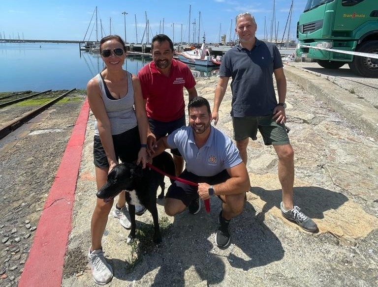 Cadela resgatada a 800 metros da costa na Póvoa da Varzim