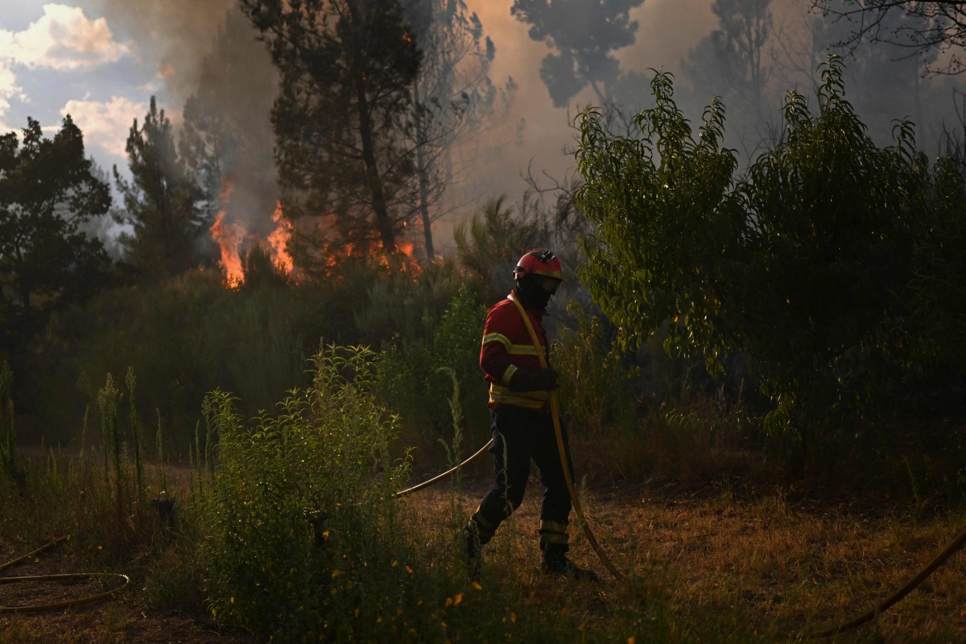 Caldas da Rainha. Bombeiro morre de ataque cardíaco durante combate ao incêndio