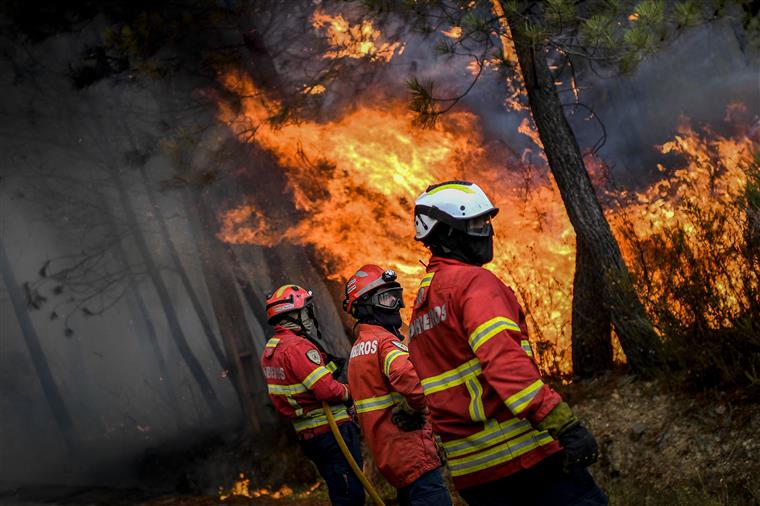 Incêndios. Proteção Civil pode avançar com contratação de 500 bombeiros