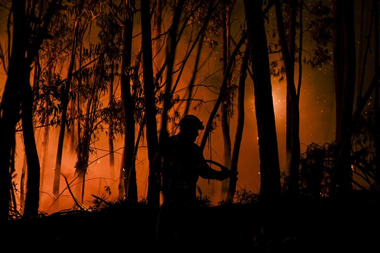 Incêndios. Fogo em Ourém volta a reacender-se