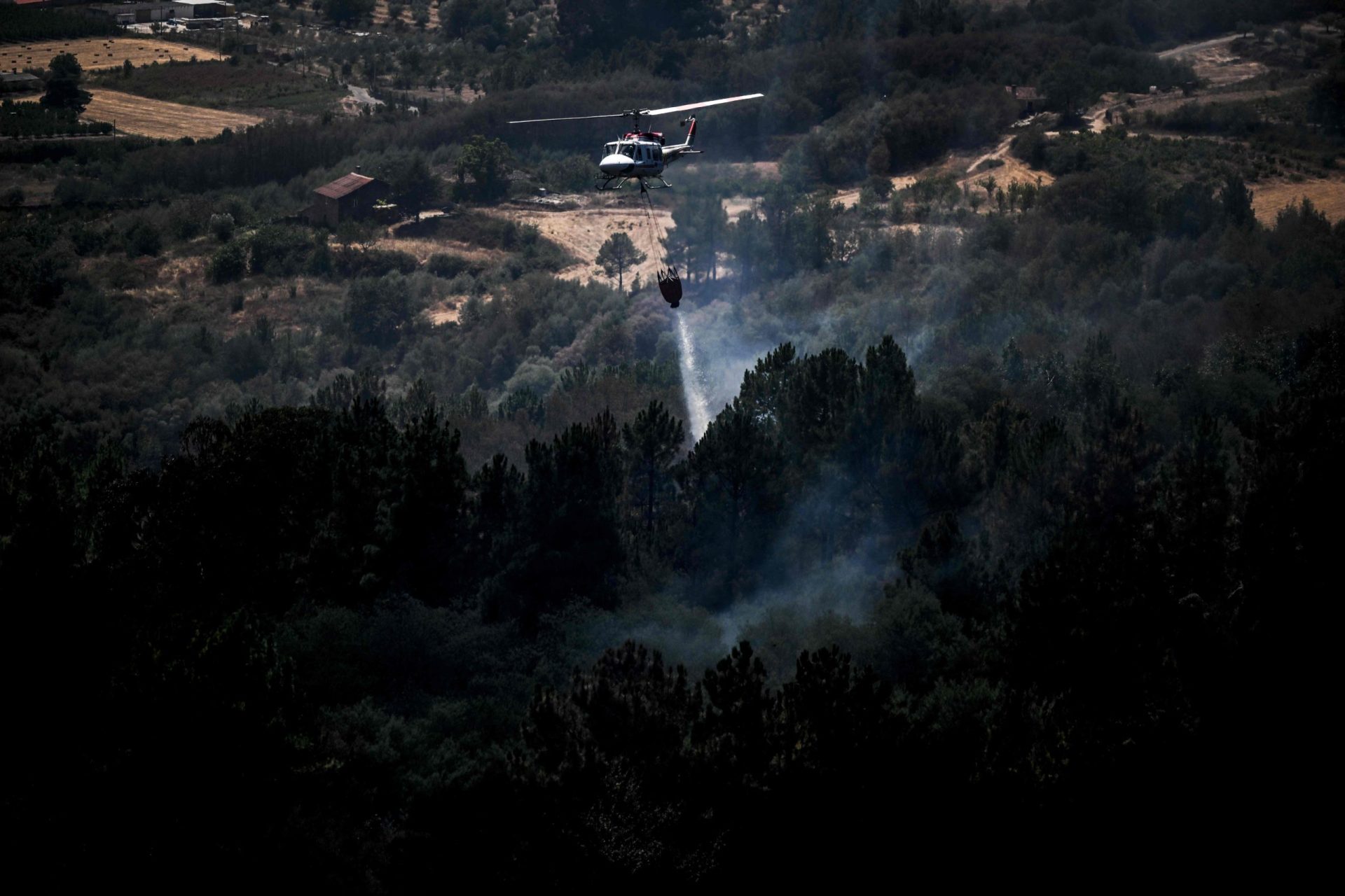 Vila Real. Incêndio na serra de Alvão reativado esta manhã