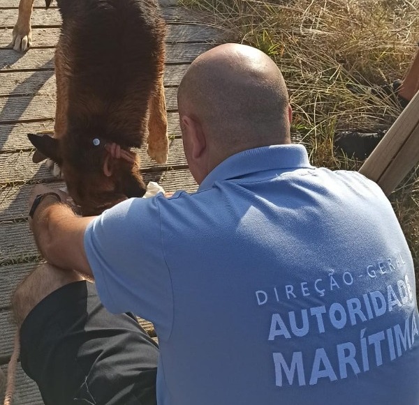 Viana do Castelo. Pastor alemão resgatado pela Polícia Marítima na praia do Lumiar