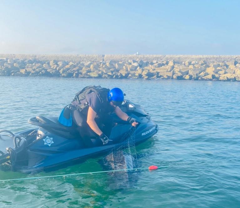 Tartaruga resgatada na foz do rio Mondego após ficar presa em arte de pesca