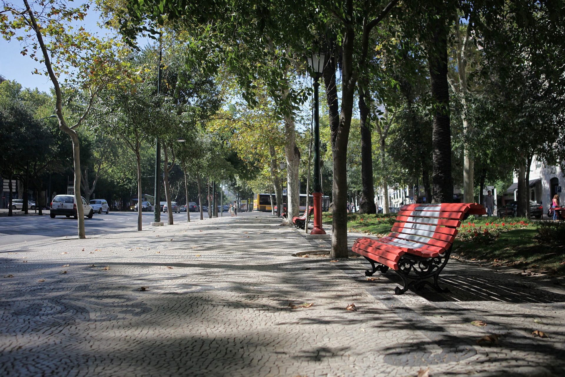 Lisboa. Avenida da Liberdade continua acima do máximo legal de poluição