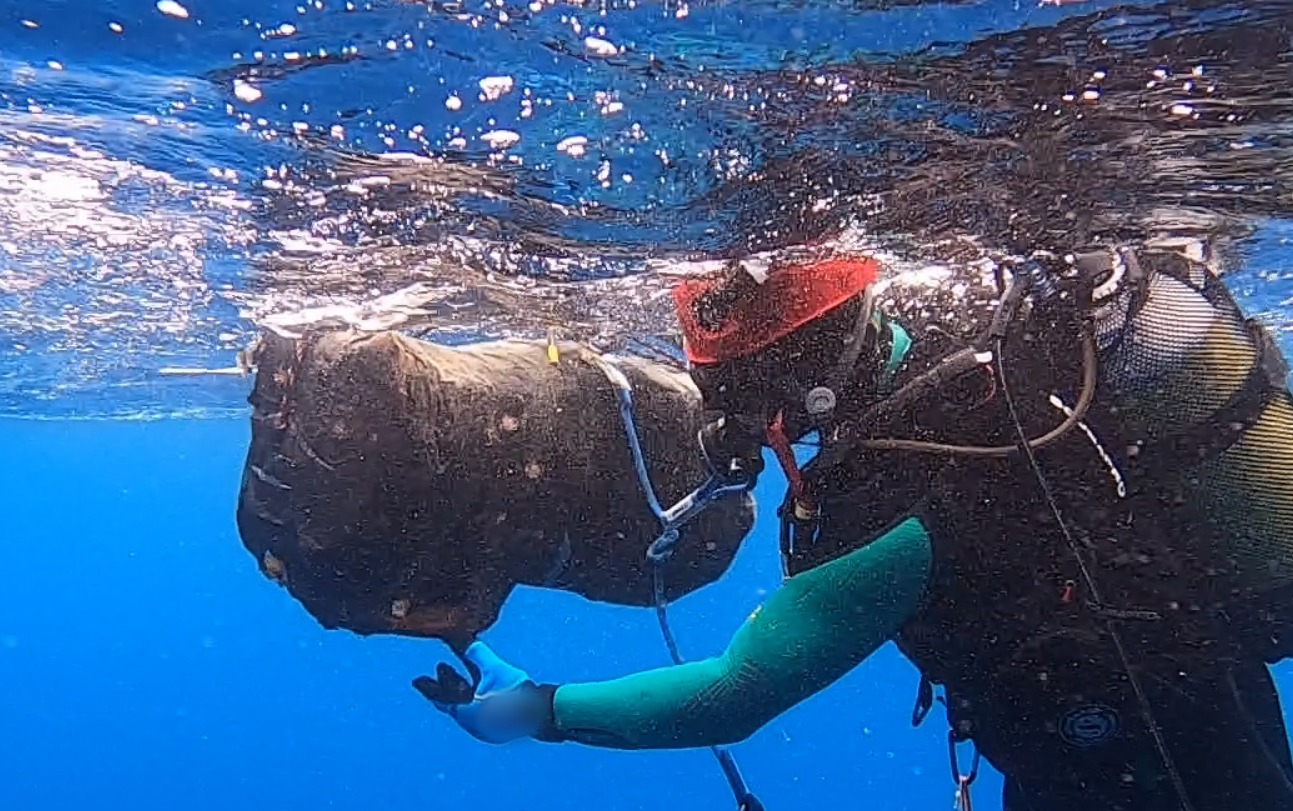 Apreendidos mais de 32 quilos de cocaína em casco de navio