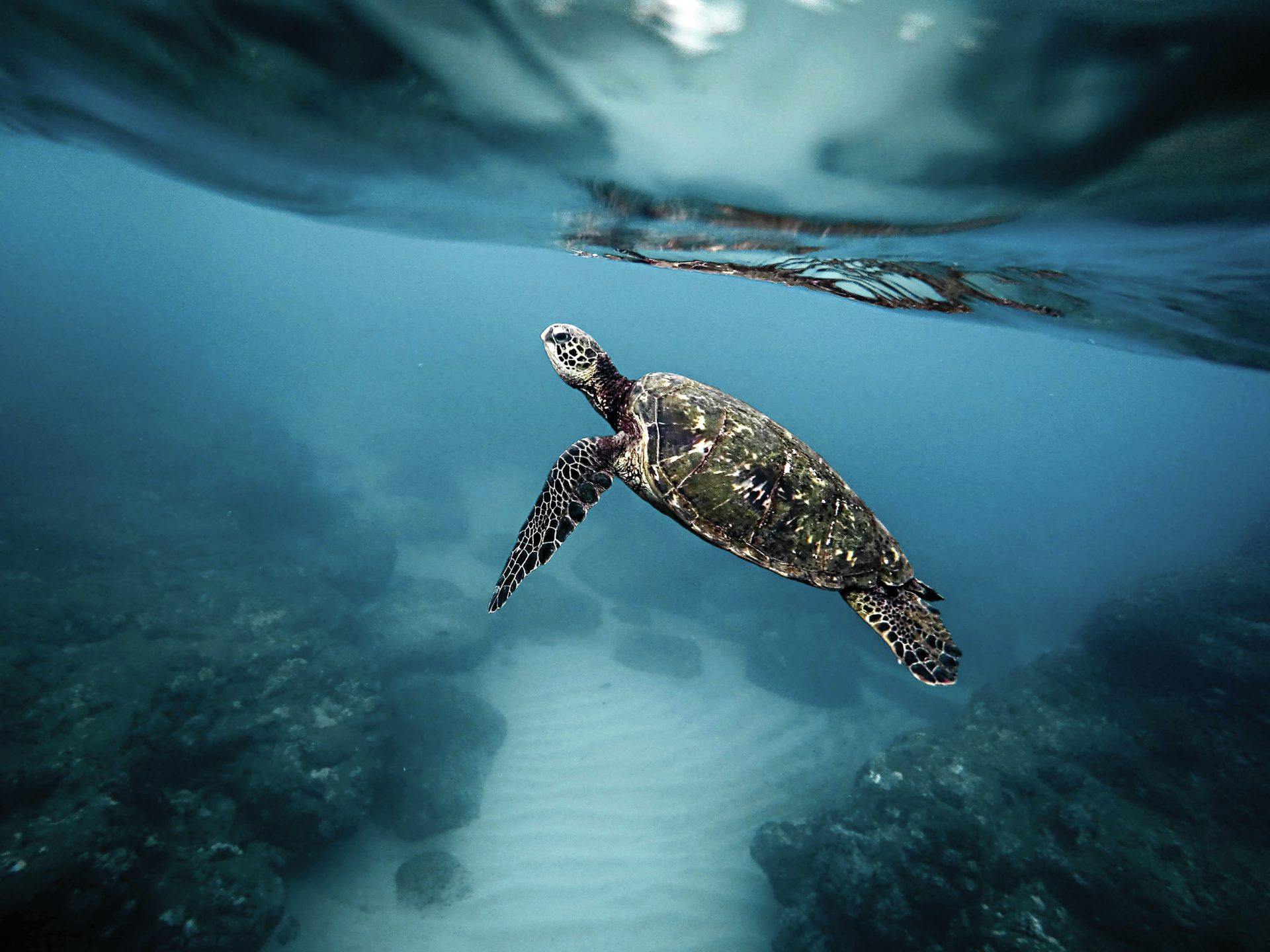 Acordo &#8216;histórico&#8217; dos oceanos