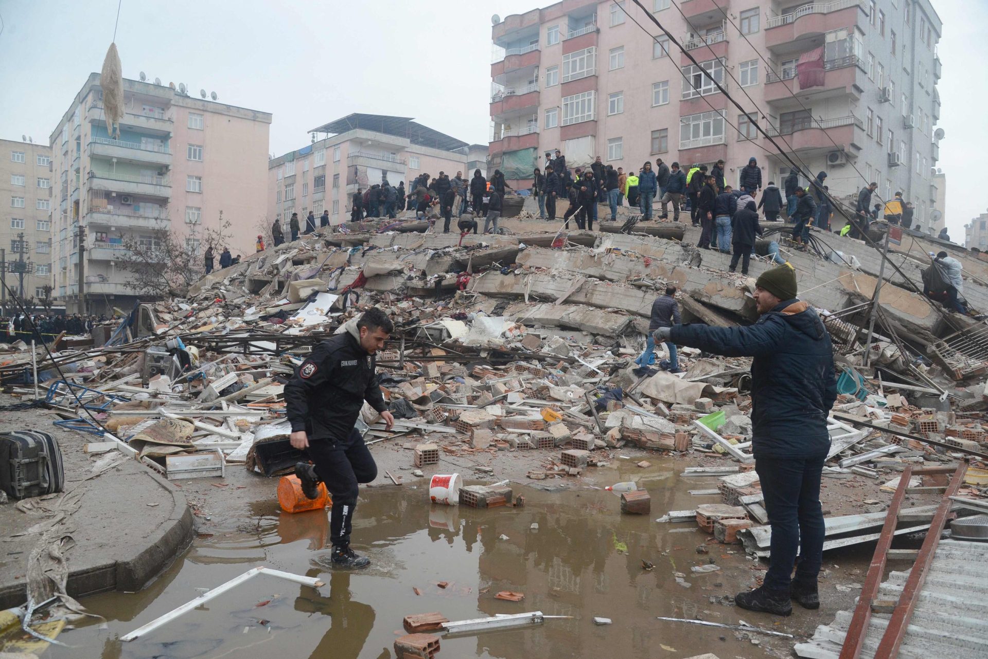 Turquia. Cavalo resgatado dos escombros