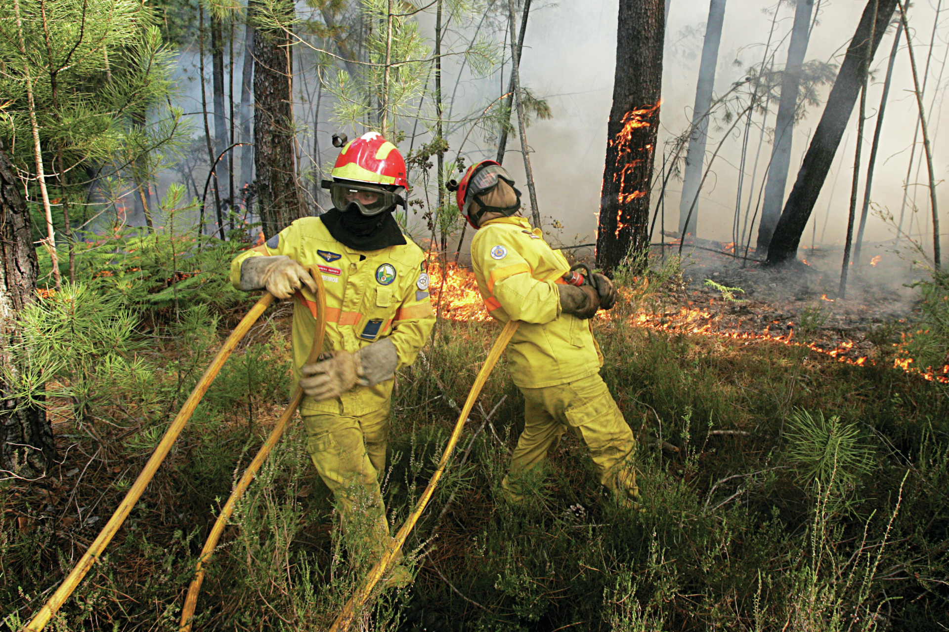 Faro. Dois concelhos com risco máximo de incêndio