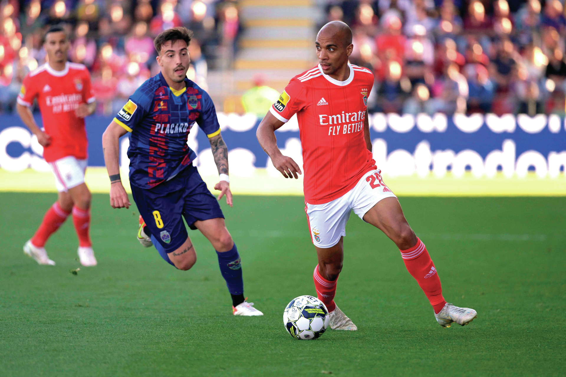 Benfica. O alegre suicídio…