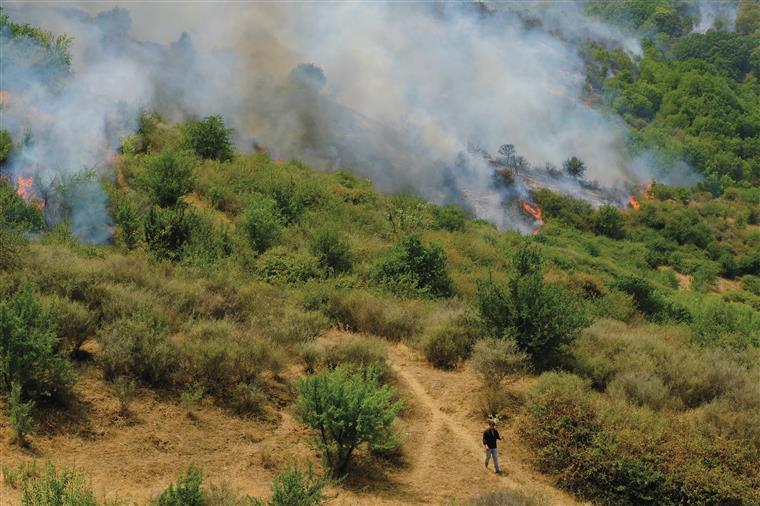 Parlamento “quem tem de fazer mais” na prevenção aos incêndios