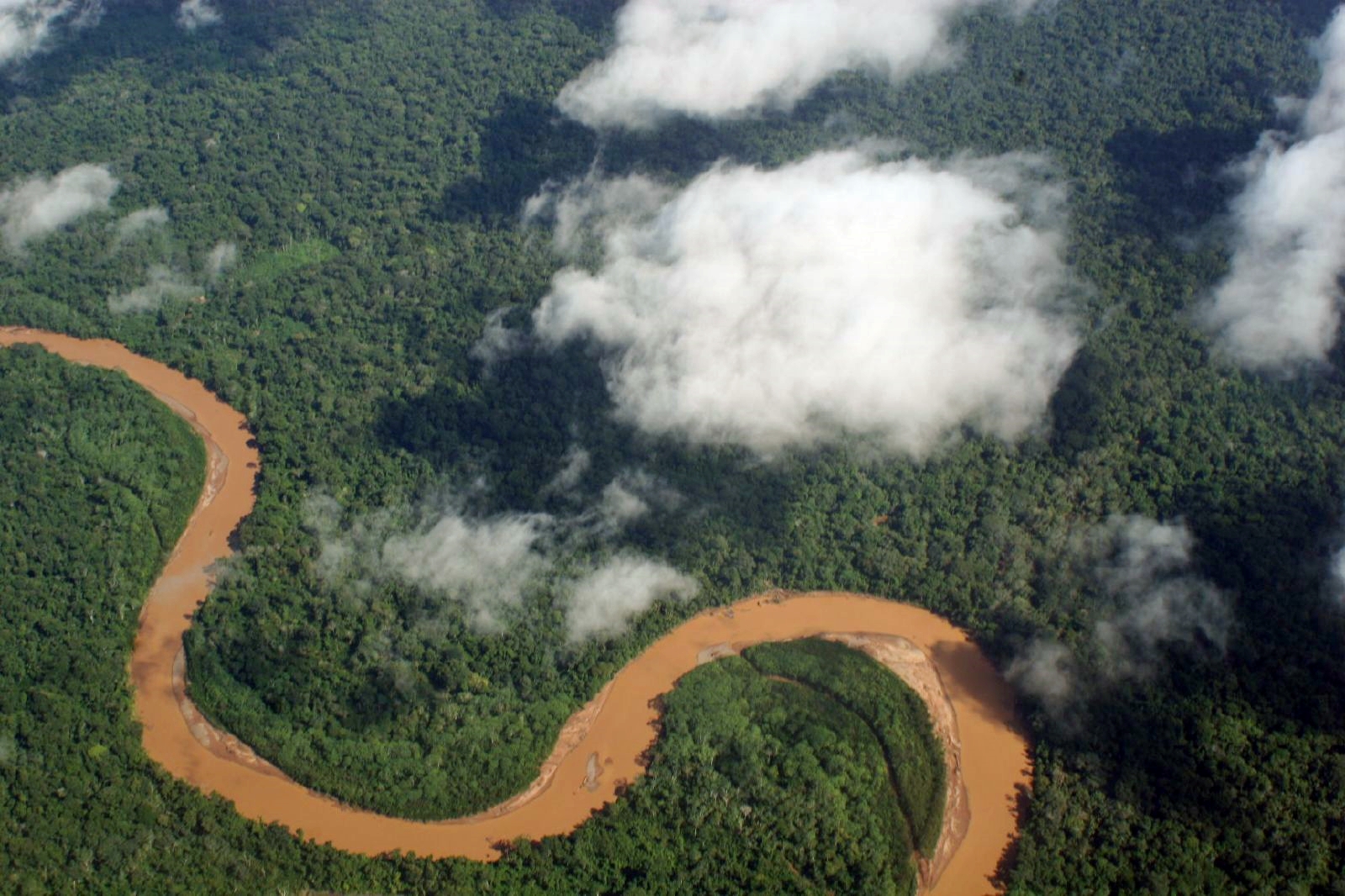 Brasil preparar cimeira para debater preservação da Amazónia