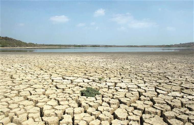 Calor: termómetros globais devem atingir recordes nunca antes vistos