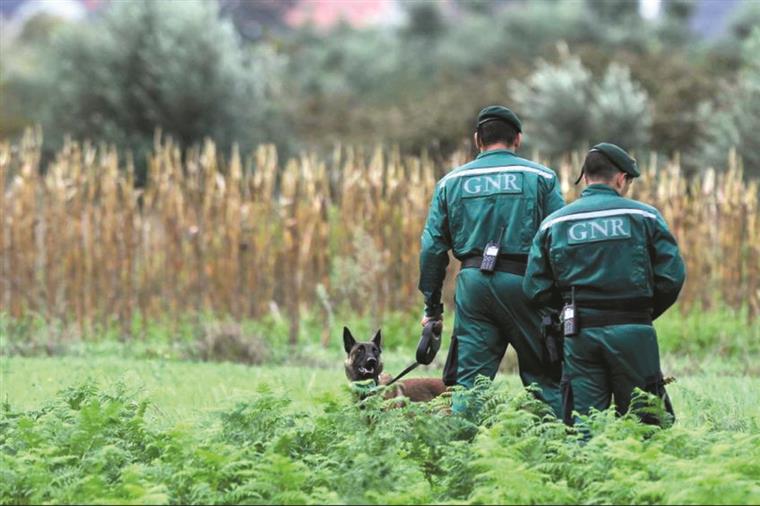 Retomadas buscas por mulher desaparecida em Ponte de Lima