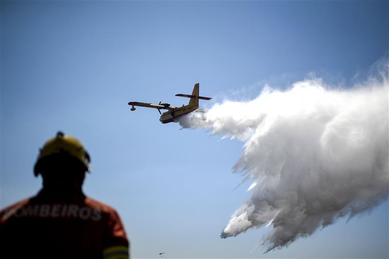 Loures. Incêndio deflagra em zona de eucaliptos