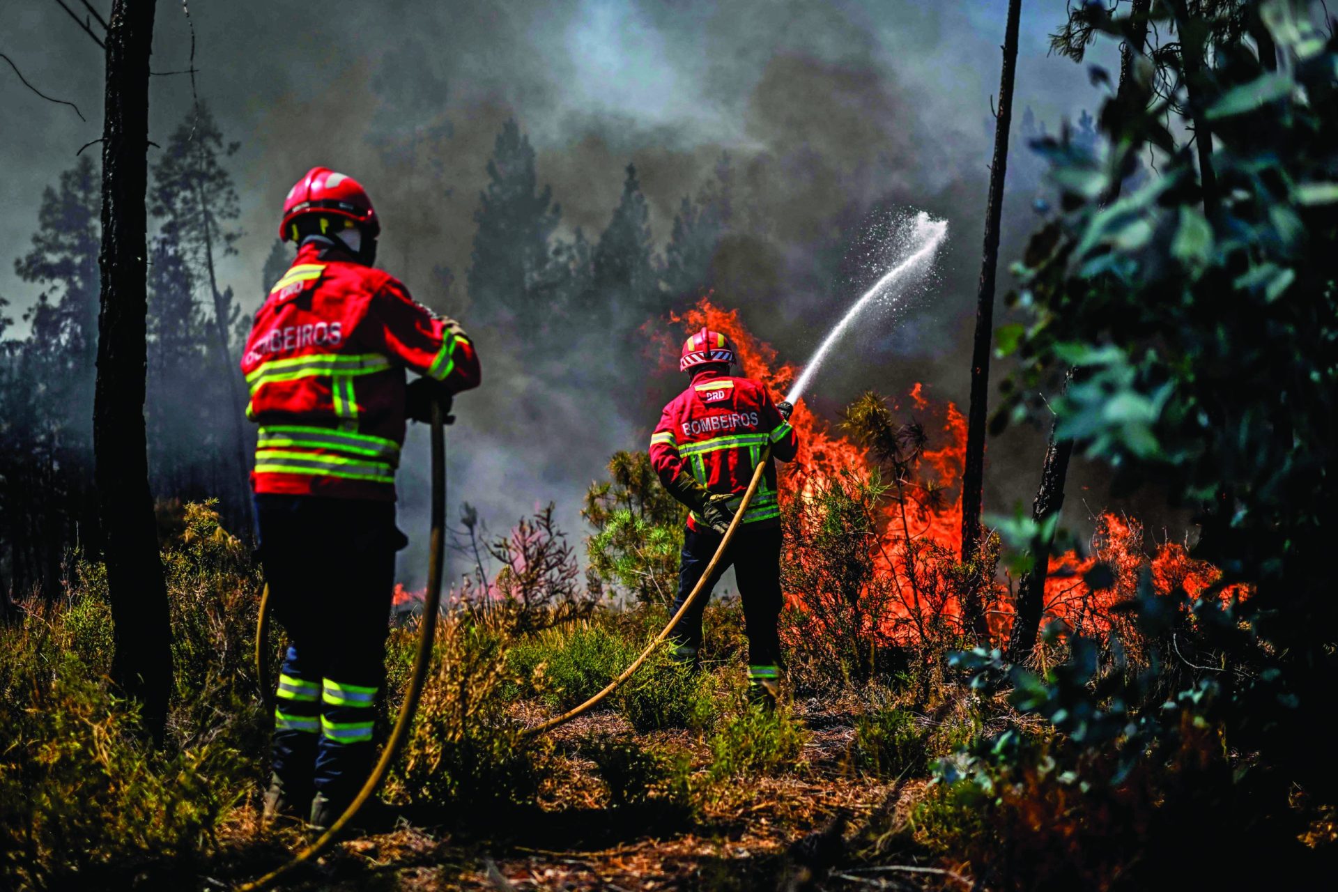 Incêndios. Várias estradas cortadas de Norte a Sul do país