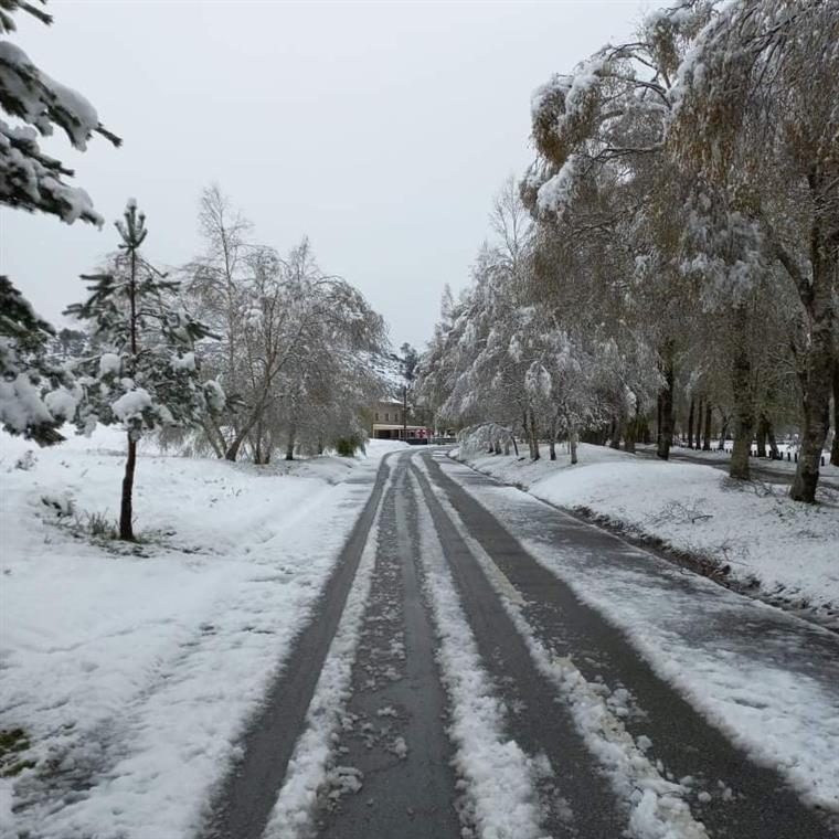 IPMA. Dois distritos sob aviso amarelo devido à neve