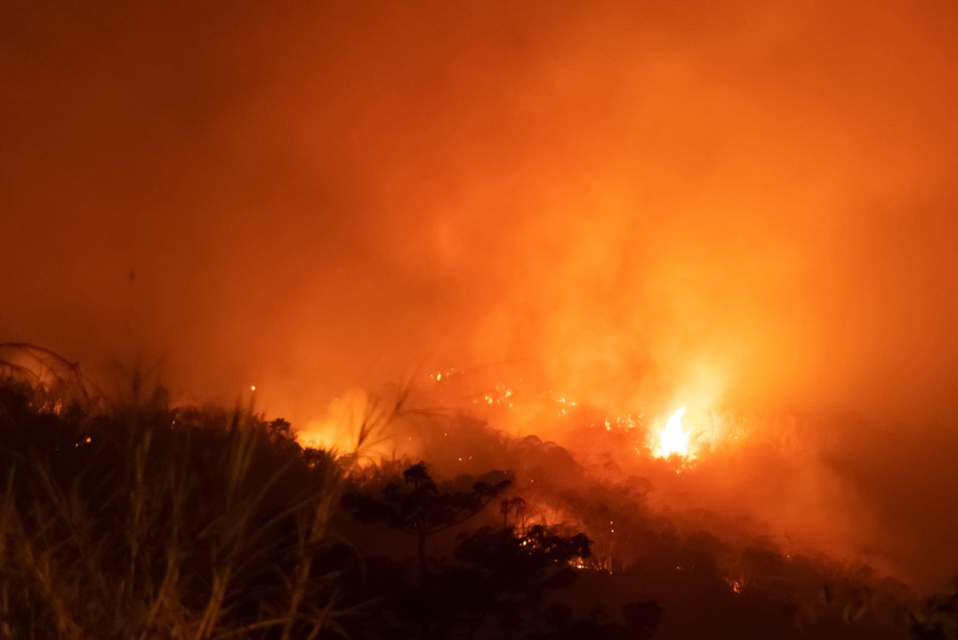 China. Pelo menos quatro mortos em incêndios