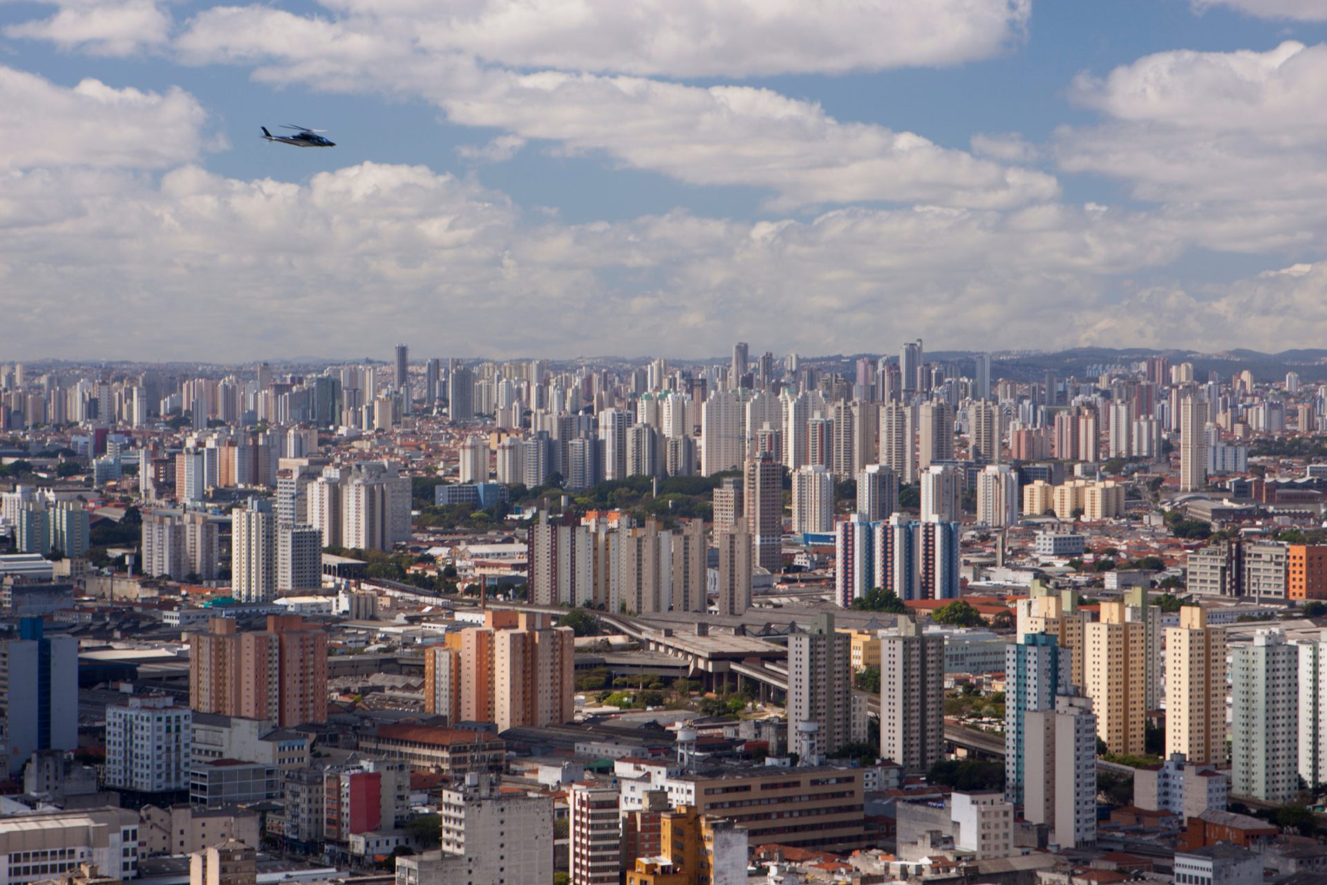 São Paulo. Número recorde de ataque de escorpiões