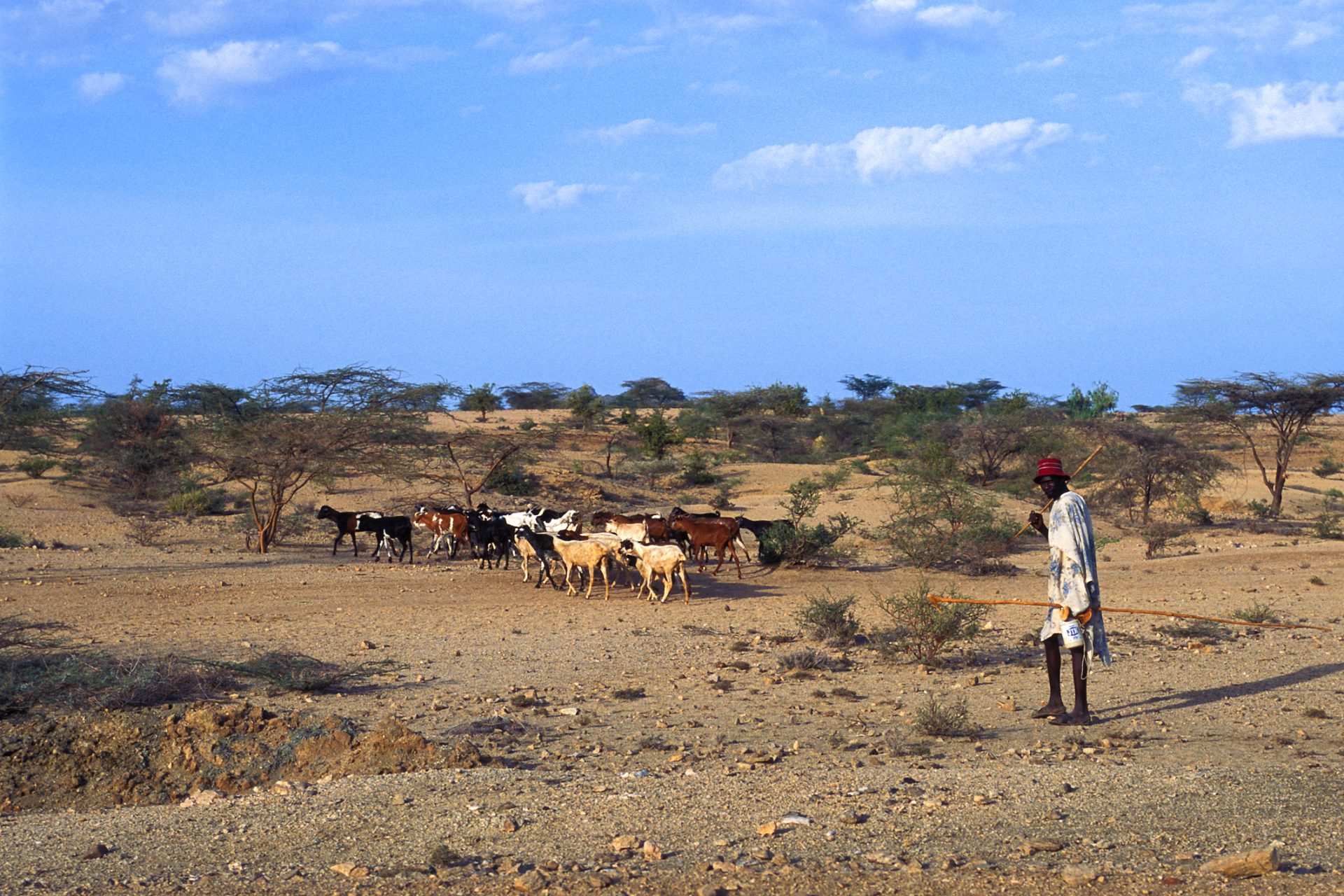 55 milhões de pessoas terão dificuldade em alimentar-se entre julho e agosto em África