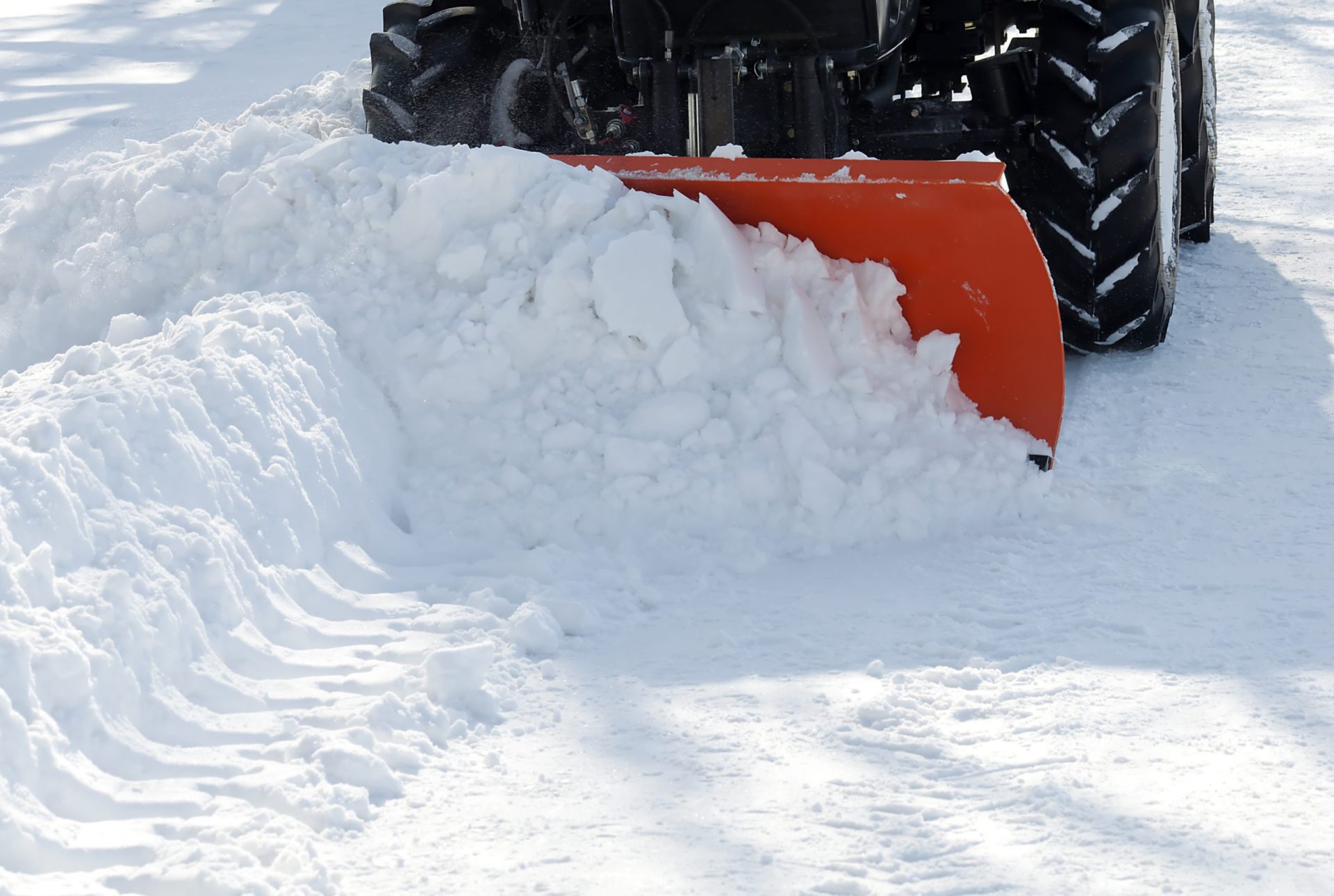 IPMA. Oito distritos do Norte e Centro sob aviso amarelo por queda de neve