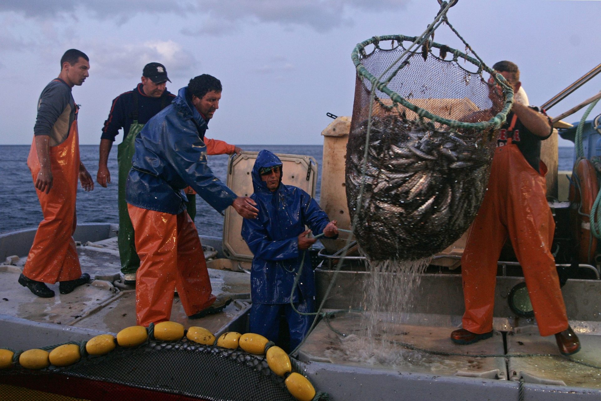 Governo vai alterar lei da pesca que obriga a que 50% da tripulação seja nacional