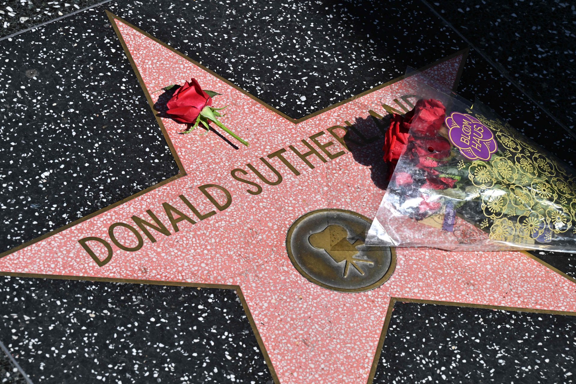 Donald Sutherland: A lenda de Hollywood