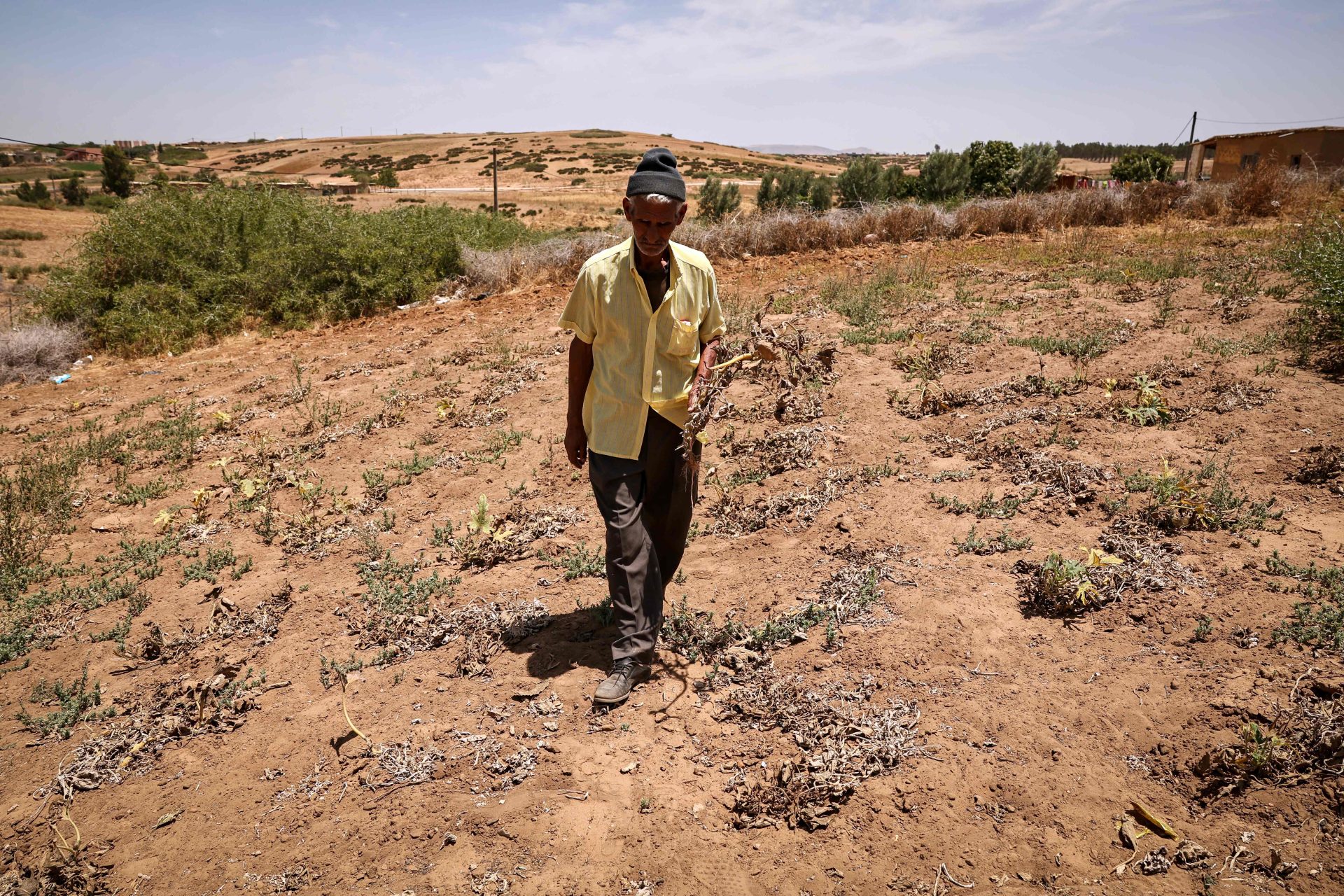 Marrocos. Onde de calor faz 21 mortos em 24 horas
