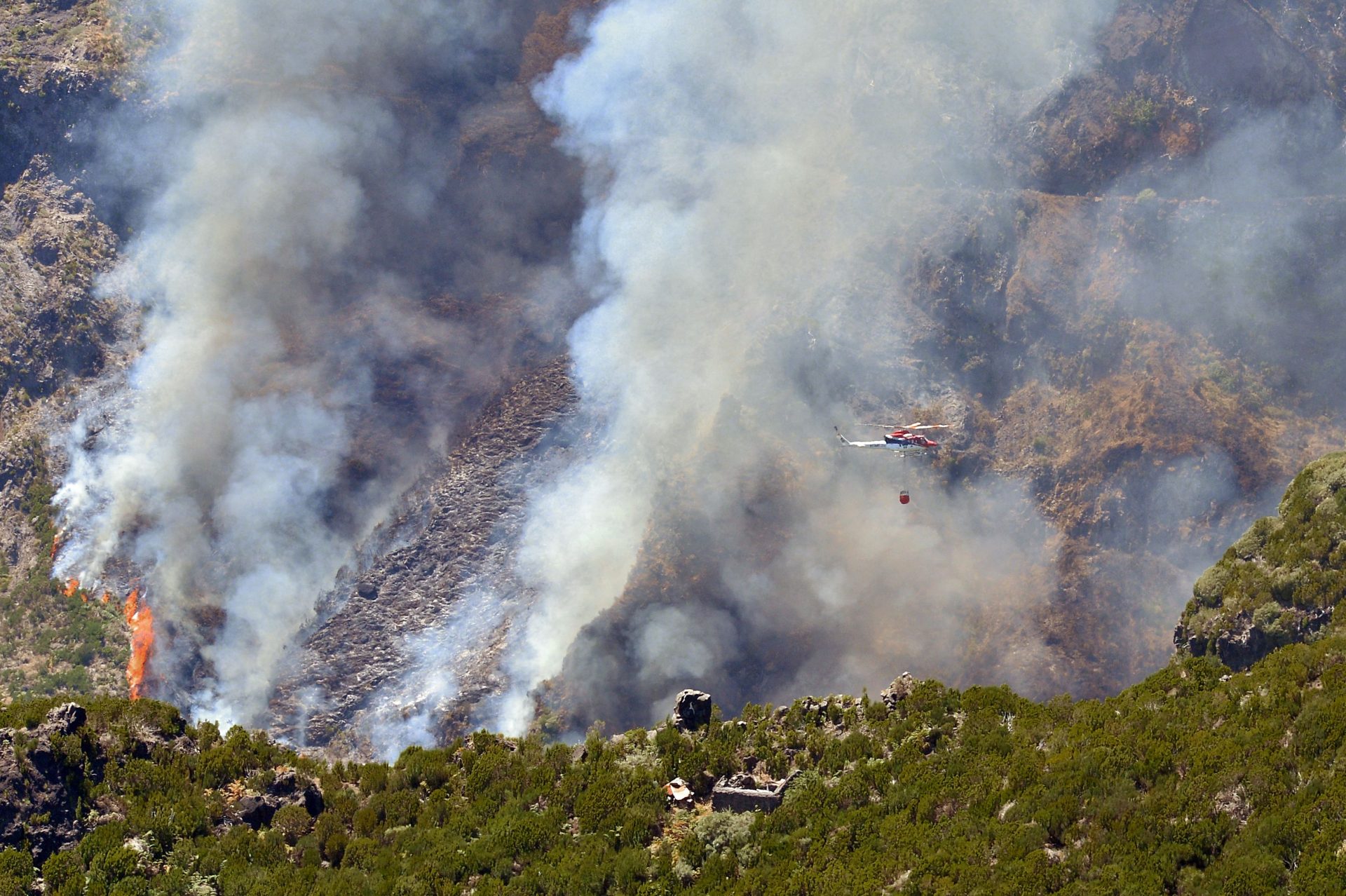 Incêndio na Madeira com duas frentes ativas