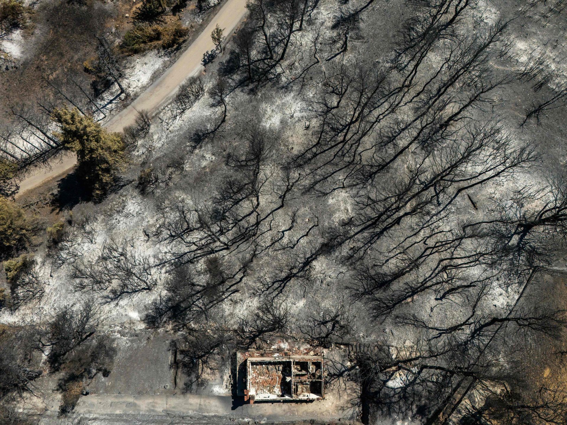 Incêndio que ameaçava Atenas está controlado