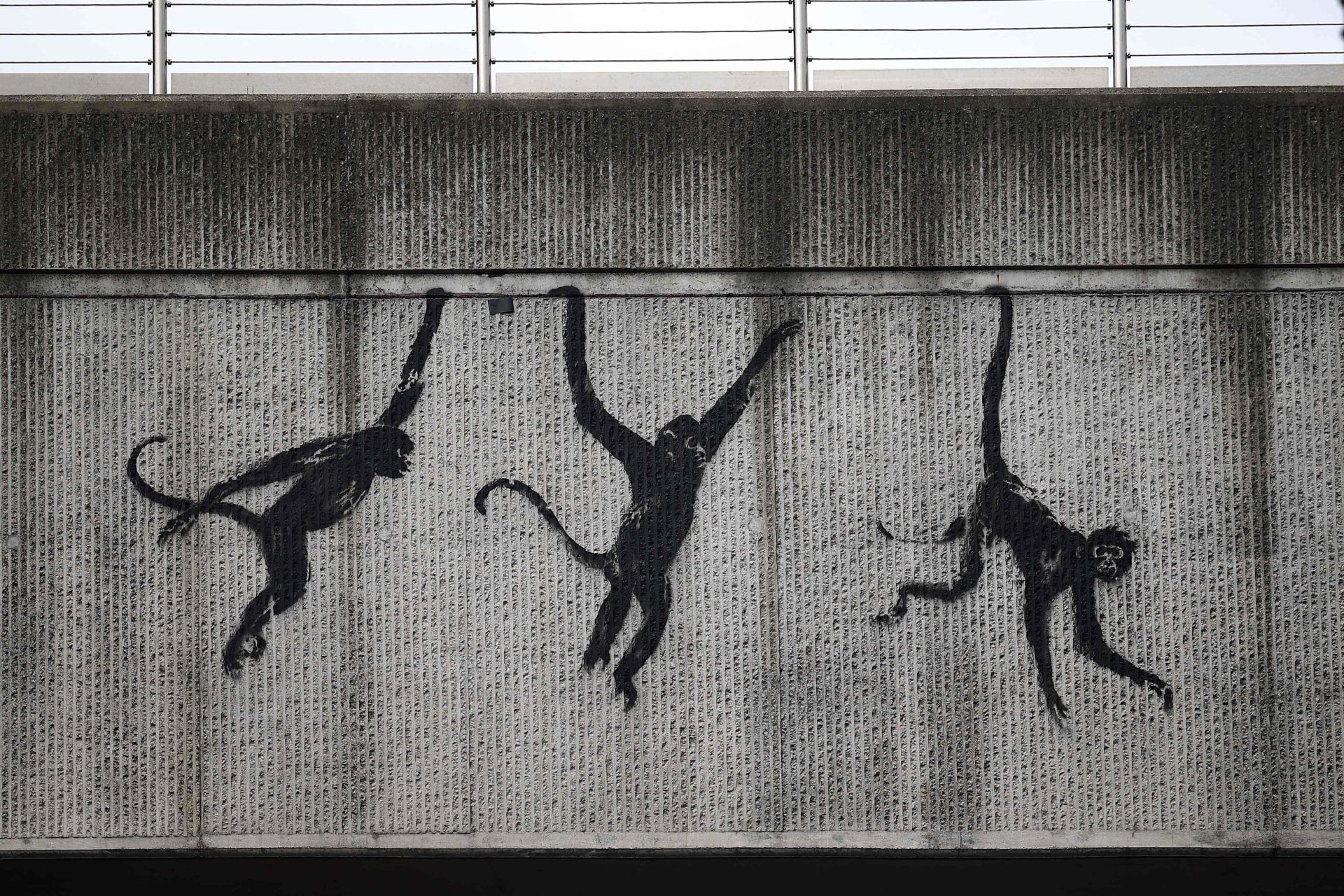 Banksy. Um zoo pintado em Londres