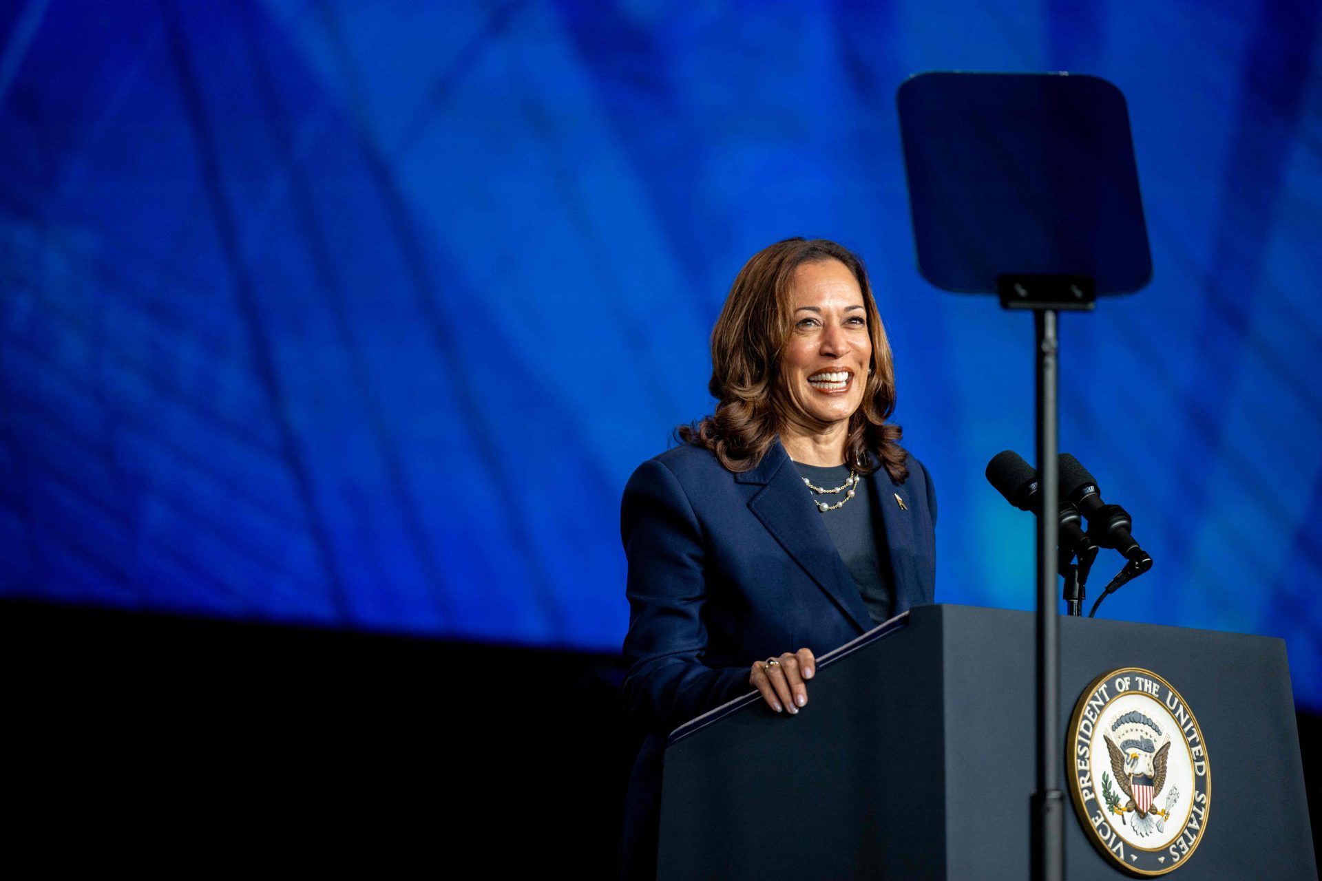 Democratas nomeiam oficialmente Kamala Harris como candidata presidencial