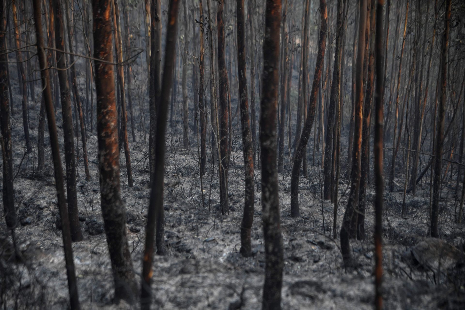 Ministra da Administração Interna garante totalidade das instruções em tempo de combate aos incêndios