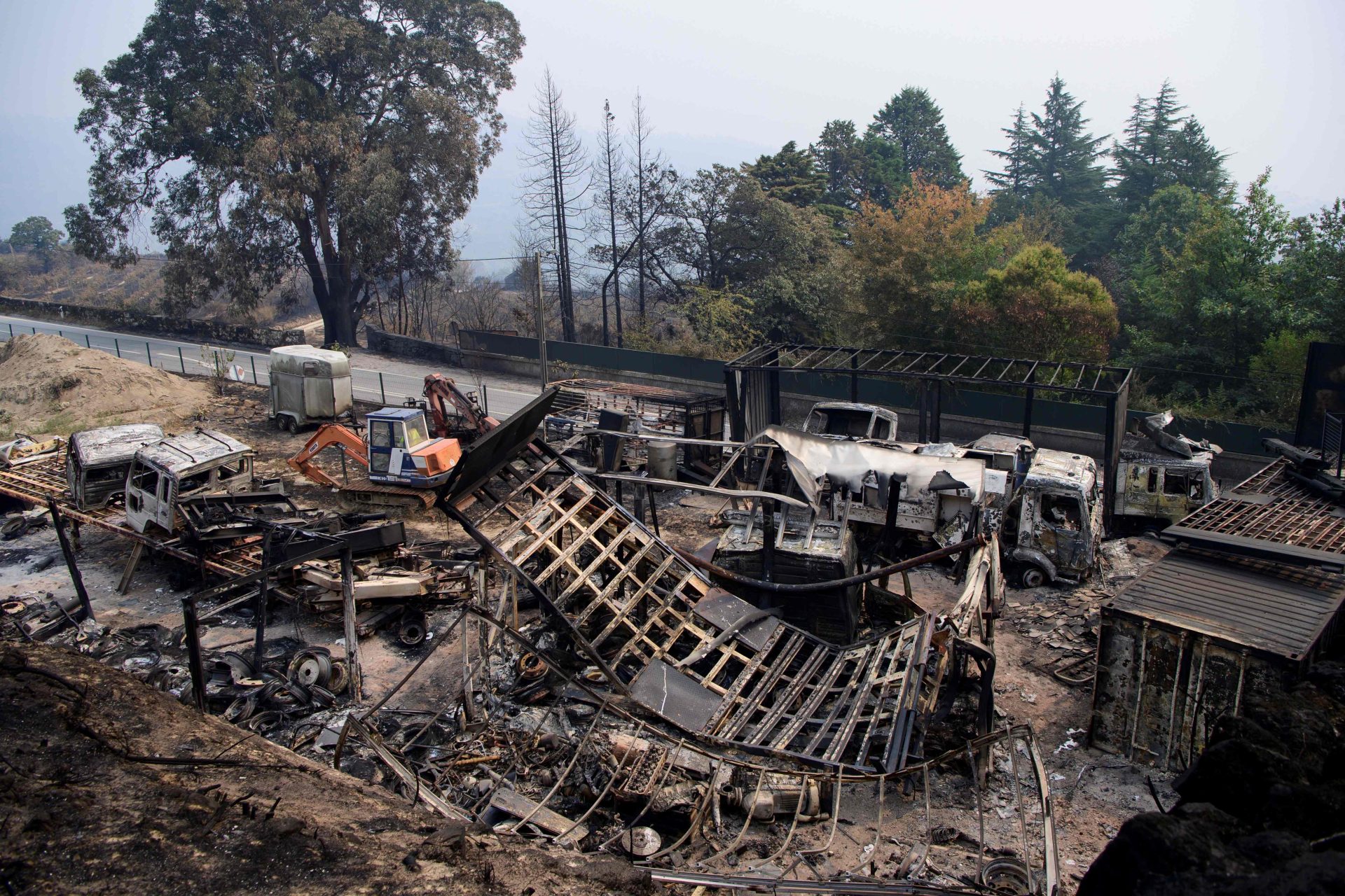 Incêndios consumiram 135 mil hectares de floresta numa semana