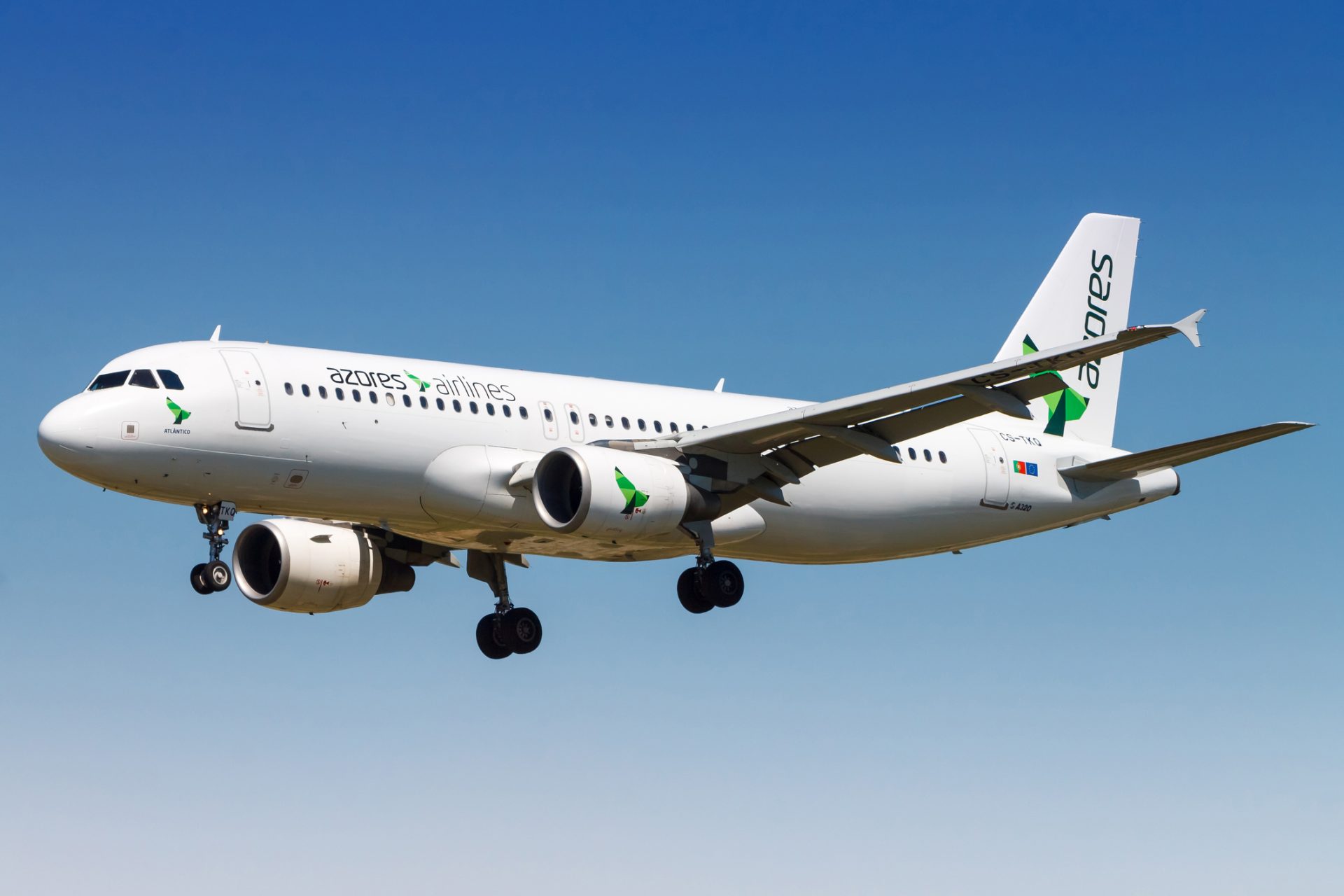 Providência cautelar na Azores Airlines considerada improcedente