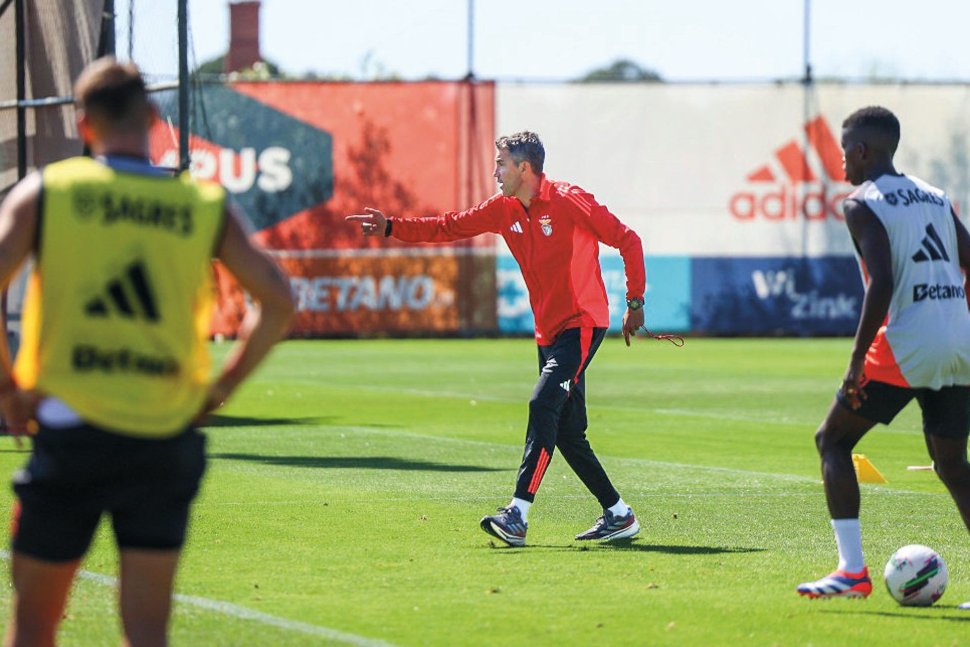 Benfica. Na escuridão da Luz&#8230;