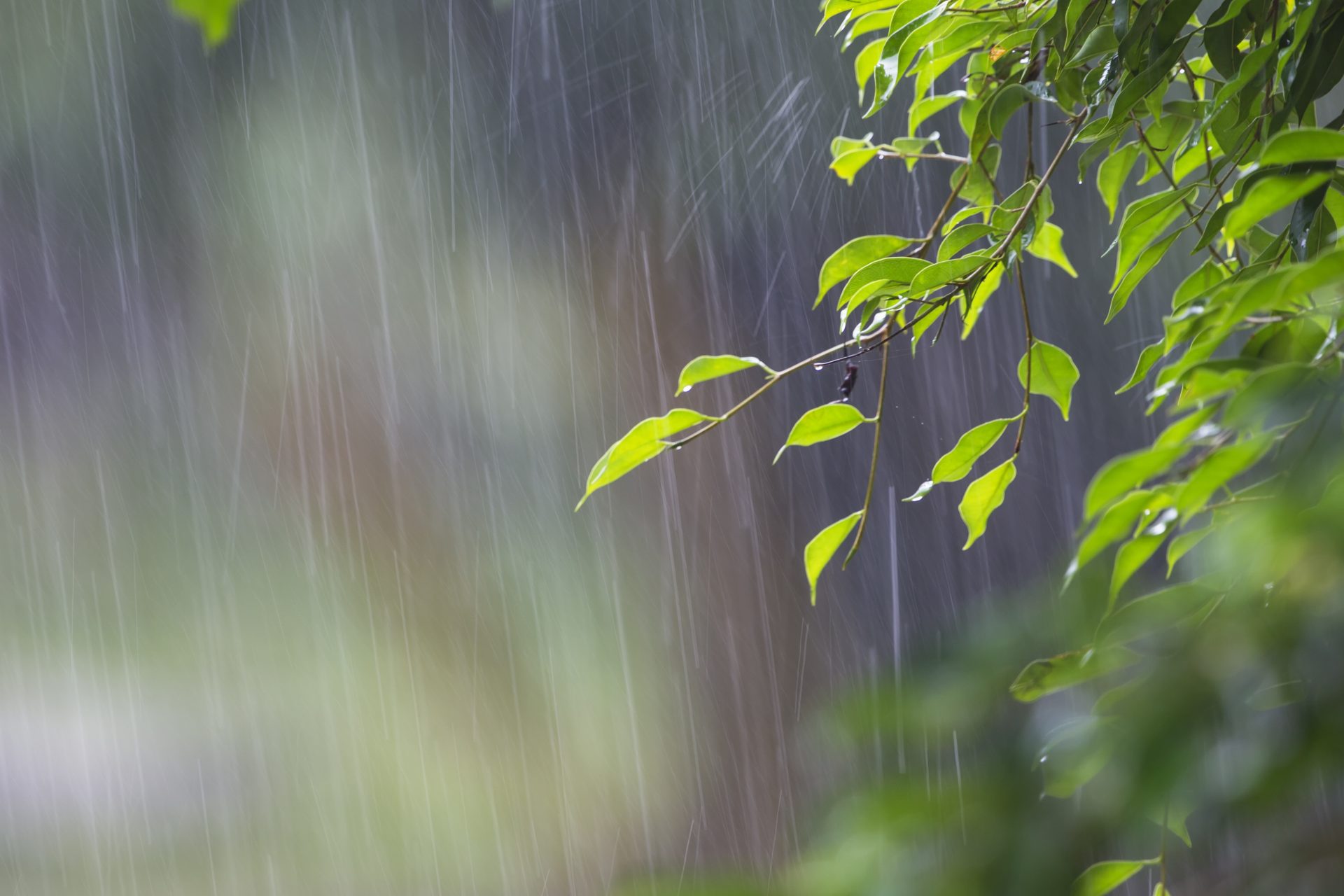 Seis distritos sob aviso laranja devido a chuva