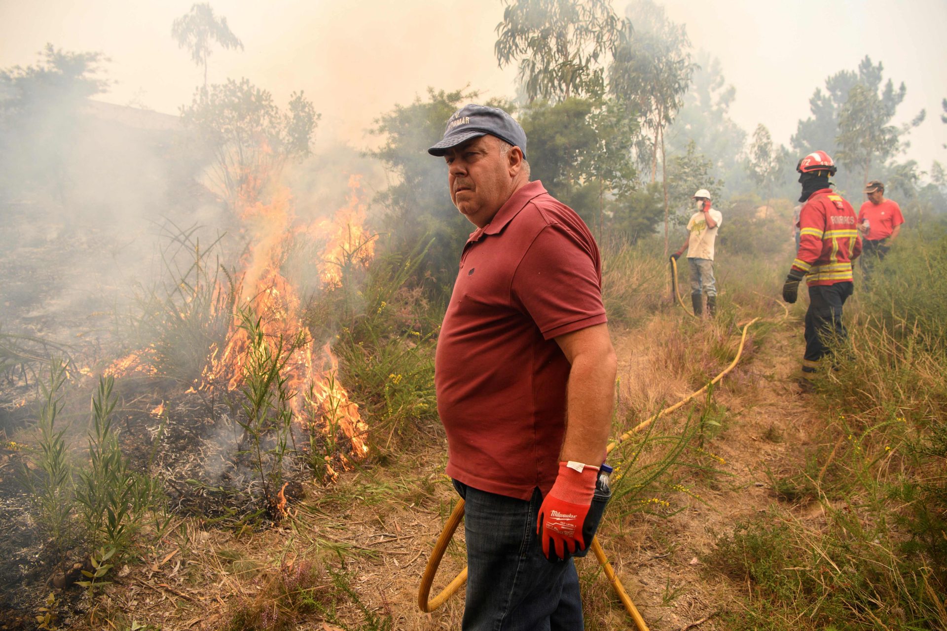 Fogo em Albergaria-a-Velha causou prejuízo de 30 milhões de euros