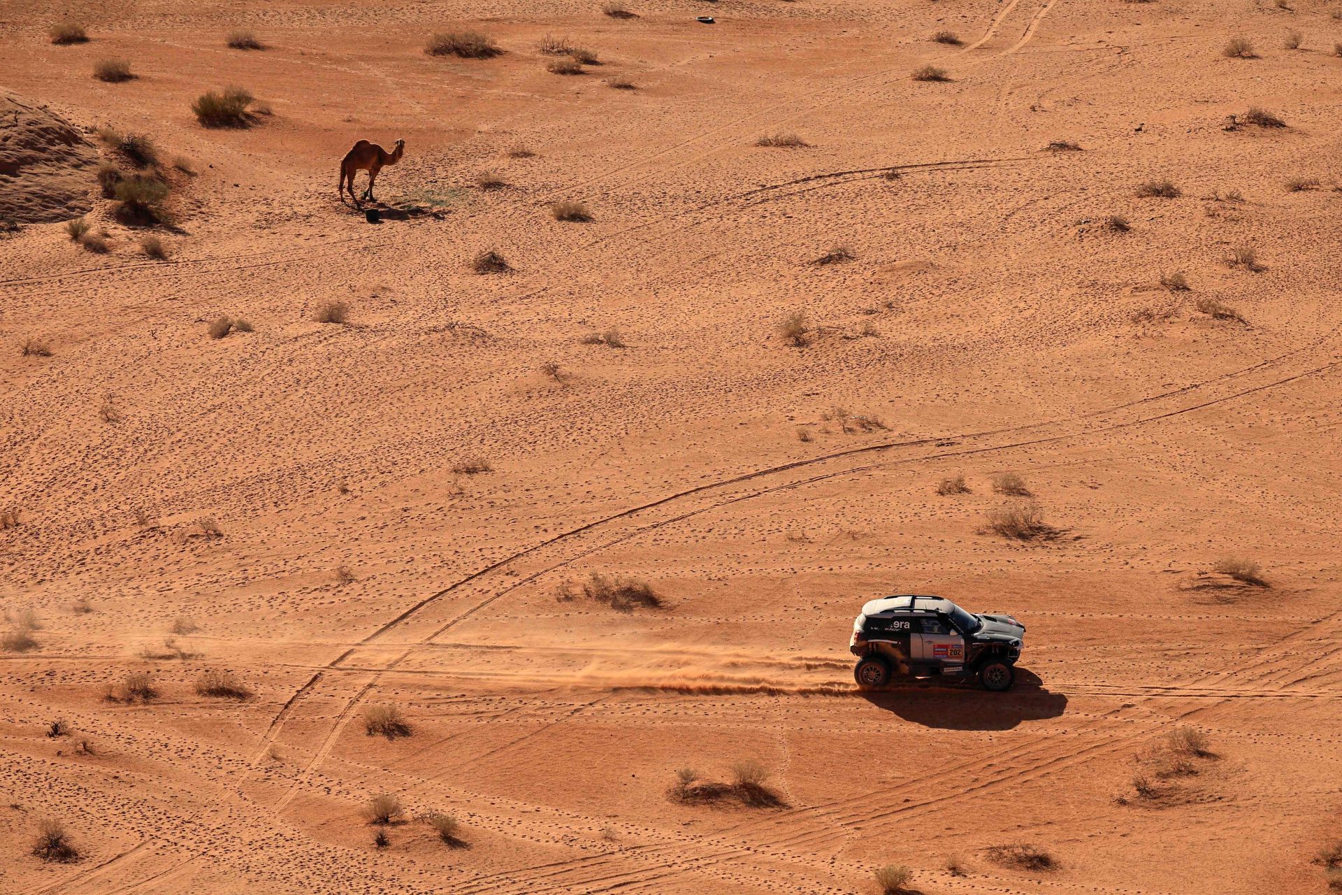 Dakar. Al Rajhi e Sanders vencem quarta etapa