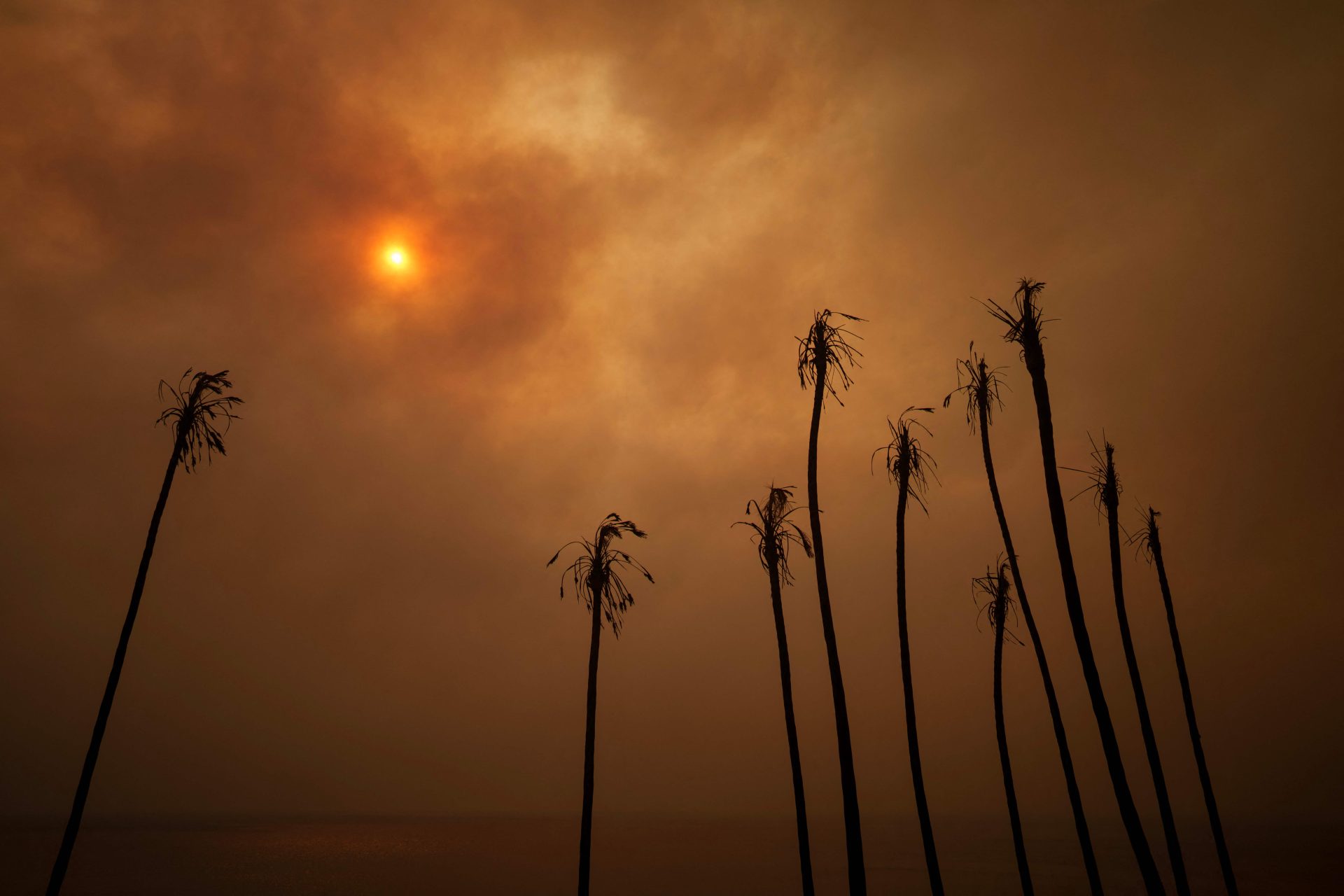 Califórnia. Trump culpa governador pela devastação dos incêndios