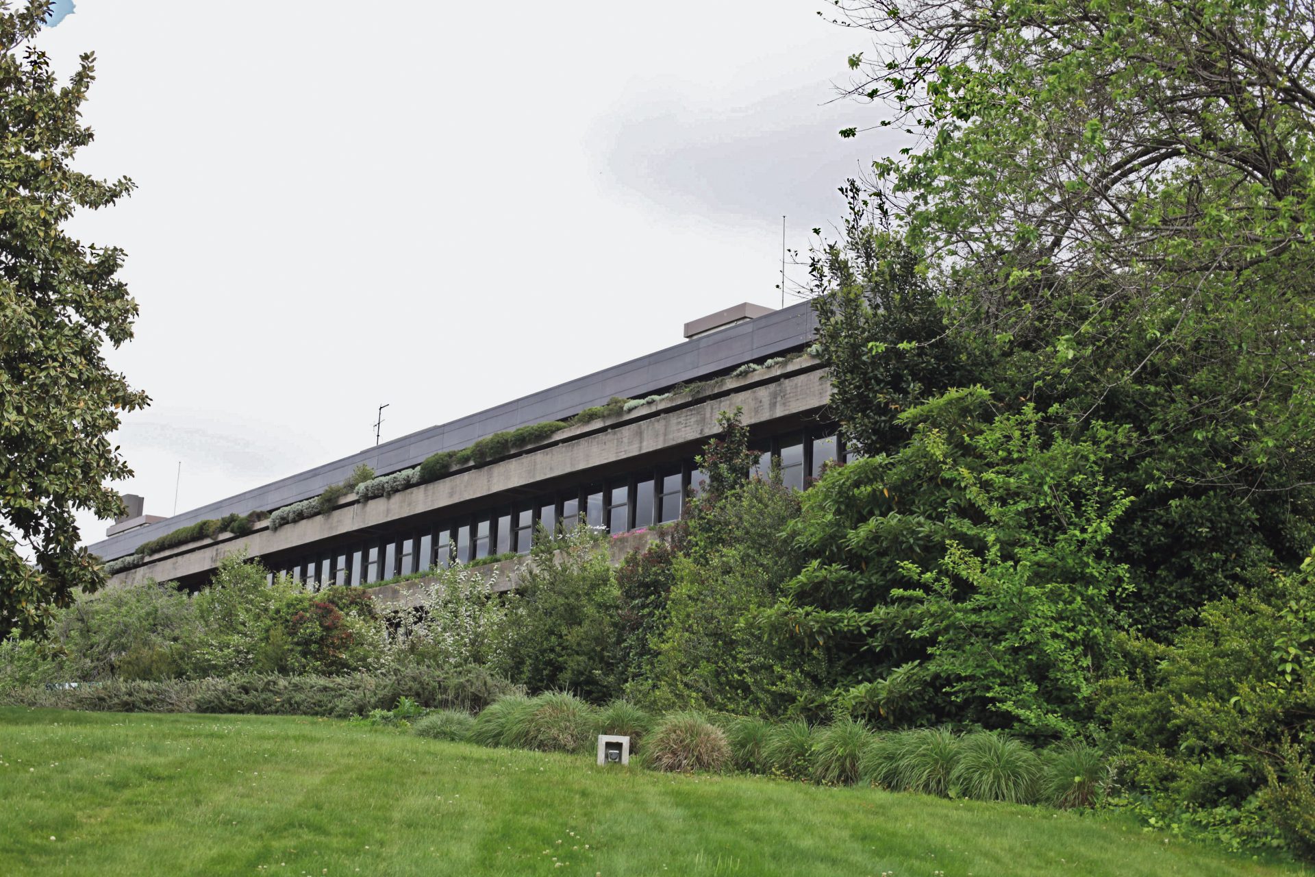 Museu Gulbenkian fecha mais de um ano para remodelação